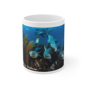 Mug 11oz