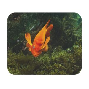 Garibaldi Mouse Pad