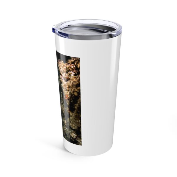 Tumbler 20oz. Garabaldi in the reef. - Image 4