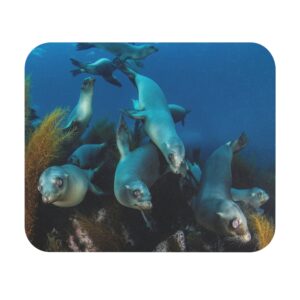 Mouse Pad (Rectangle) Sea Lions